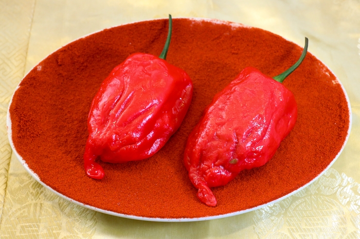 決してパプリカと言わせません!眩しいほど真っ赤な「真夏のシン・ジャンボ餃子」