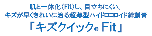 キズクイックFit
