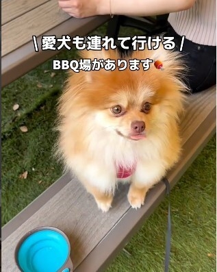 あや様(大泉緑地店)