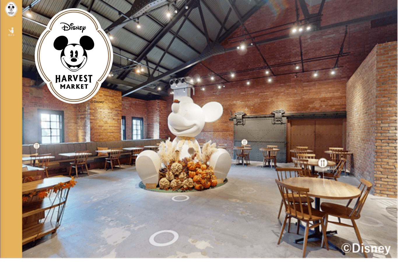 Disney HARVEST MARKET By CAFE COMPANY