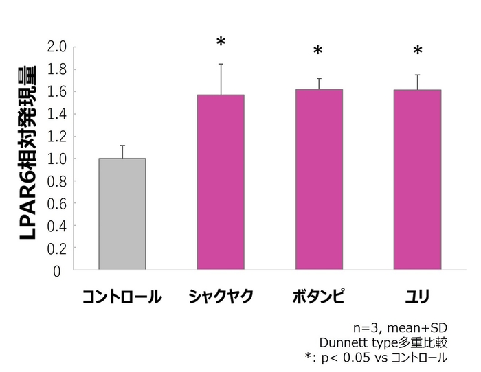 図7.毛包上皮細胞におけるシャクヤク、ボタンピ、ユリの抽出エキスのLPAR6発現促進作用