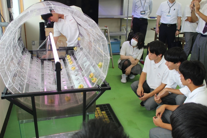 大型水槽の脇に設置されたドラム式水耕栽培槽でアクアポニックスに取り組みます