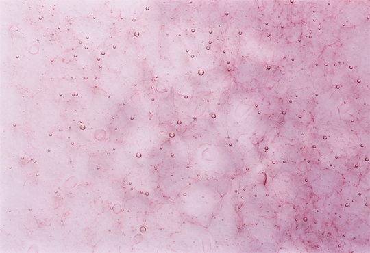 344 GROWイメージヴィジュアル