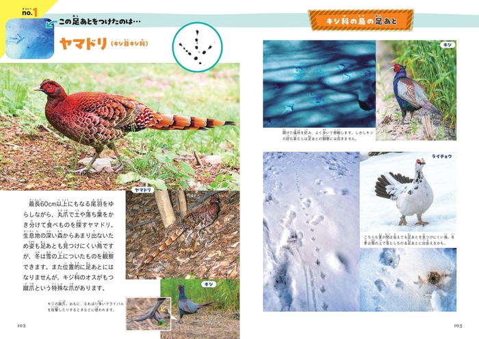 これ、だれの足あと？