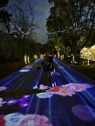 福岡城を幻想的に彩る「光のナイトウォーク」が3/7(金)から開催　 竹あかりやプロジェクションマッピングの演出をバージョンアップ