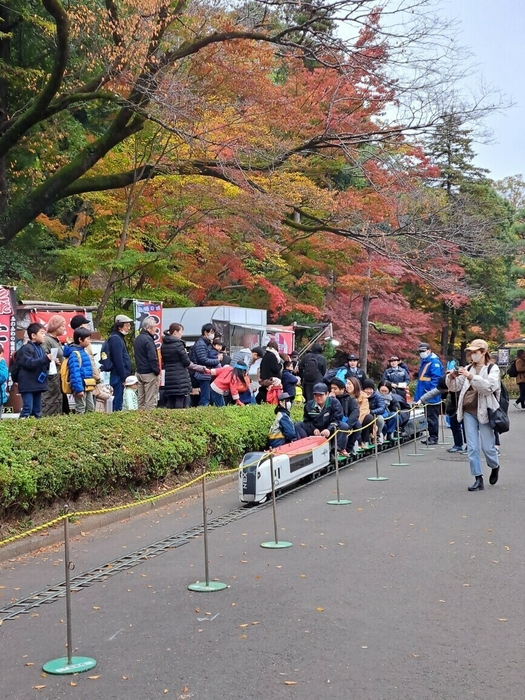 JR・小田急町田駅&神奈中 町田秋まつり2