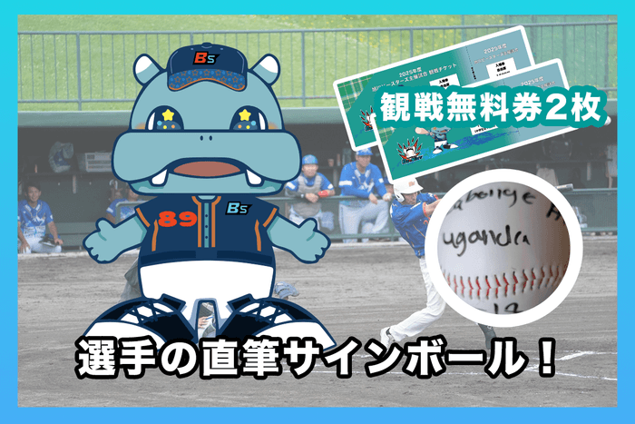 リターン:サインボール