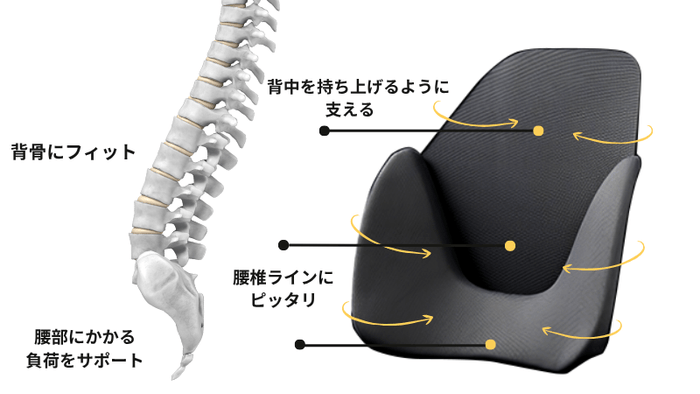 スゴい腰レザー構造