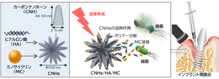 本研究の概要図
