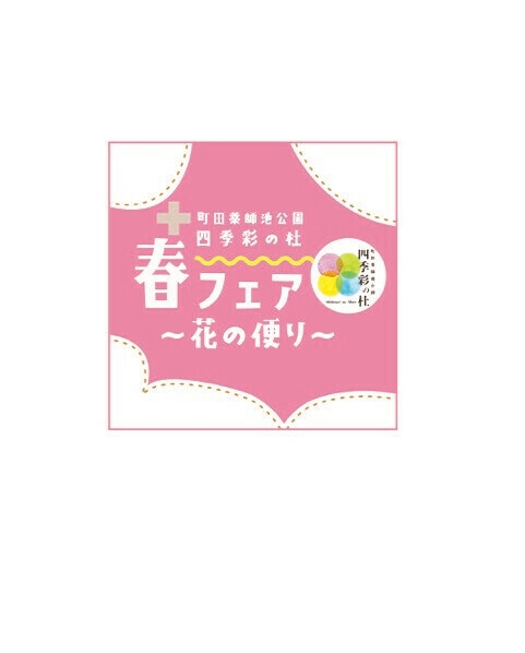 春フェア2025 ~花の便り~