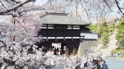 2024年の春を楽しむためのお店やイベントが盛り沢山！ 軽井沢通が通う春の長野県小諸市