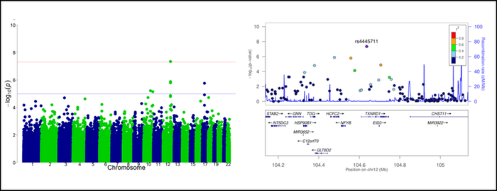 図1 マンハッタンプロットの結果