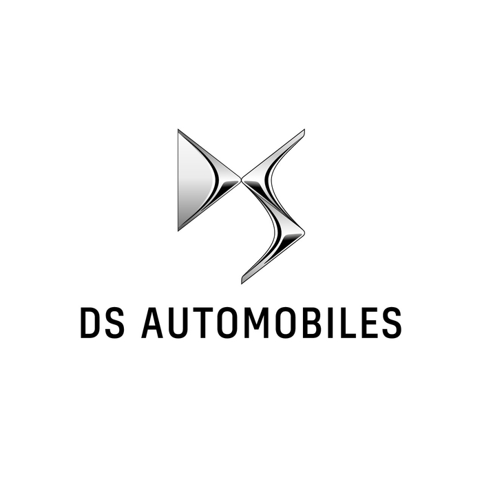 DS logo