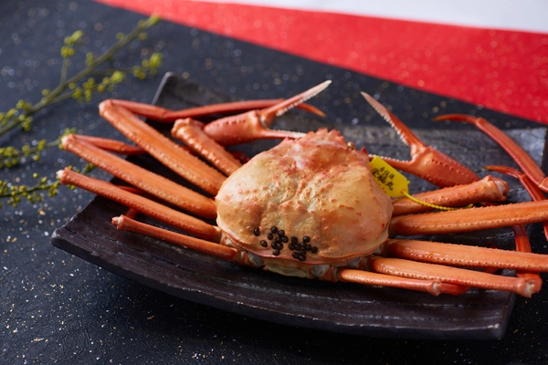 2025年9月1日、香住ガニがいよいよ解禁。 香住港に活気が溢れるこの季節、さだ助別邸ICHIJOでは 秋限定の宿泊プランをご用意しました。