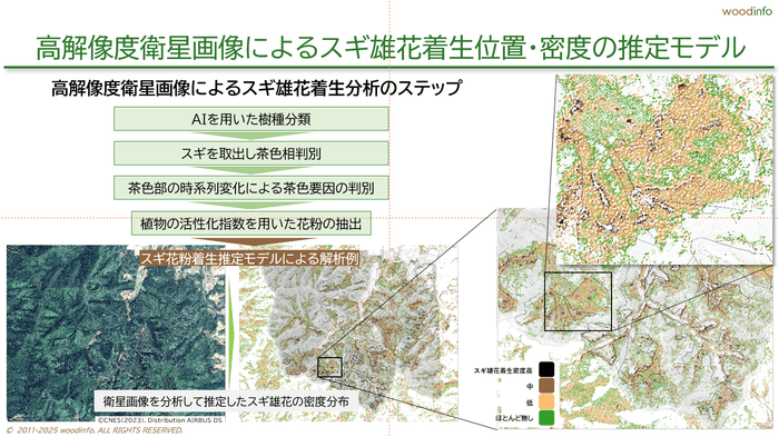 高解像度衛星画像による雄花密度マップ