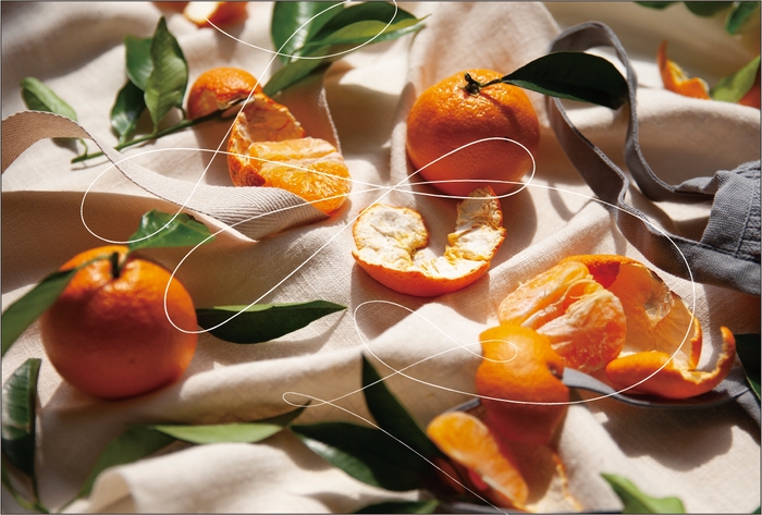 (株)オレンジページ 新CI キービジュアル