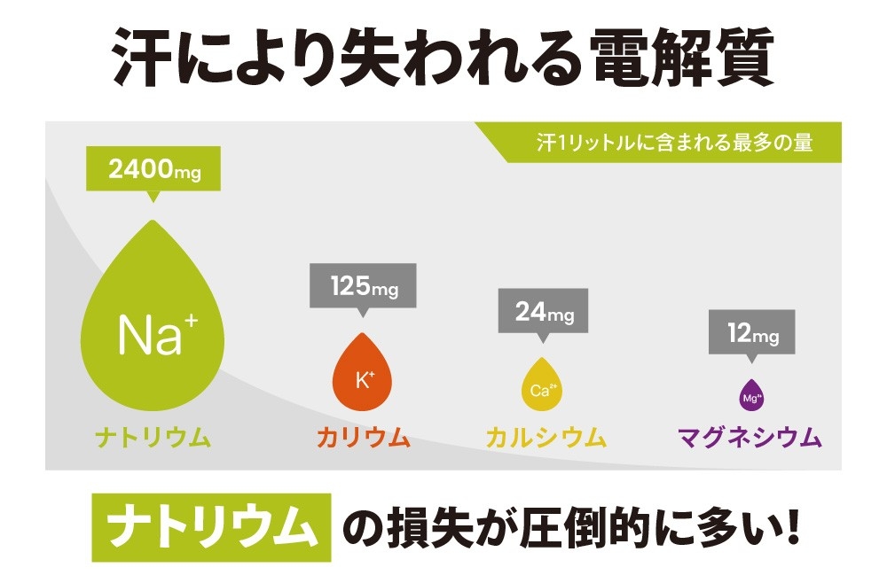 水だけじゃ防げない。カギは“電解質”、特にナトリウム!