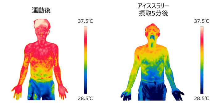 暑熱環境下における運動後のアイススラリー飲用による身体冷却イメージ （撮影協力：広島大学　長谷川博教授）