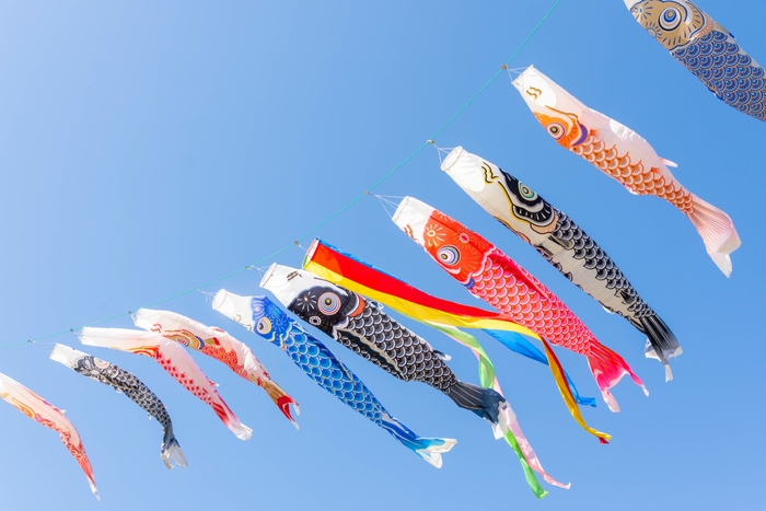 『泳げ!鯉のぼり』イメージ