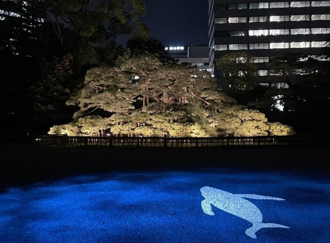 ライトアップ（イメージ）