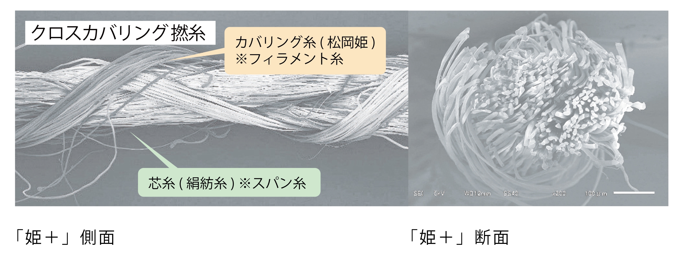 「姫+」側面・断面