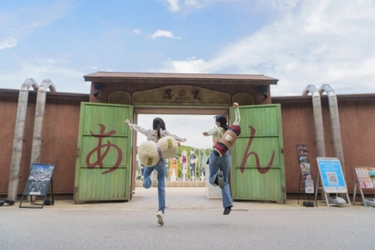 【今週末から開催！】「NARUTO＆BORUTO 忍里」年間パスポート所有者限定のスペシャル特典 特別任務第26弾「イチャイチャタクティクス捜索」編 先行体験会 2025年12月13日（土）～19日（金）開催　一般販売に先駆け、先行体験会を実施