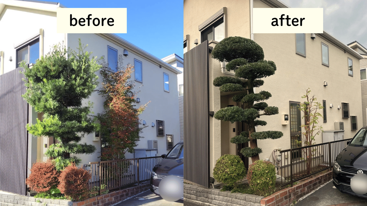 庭木の剪定