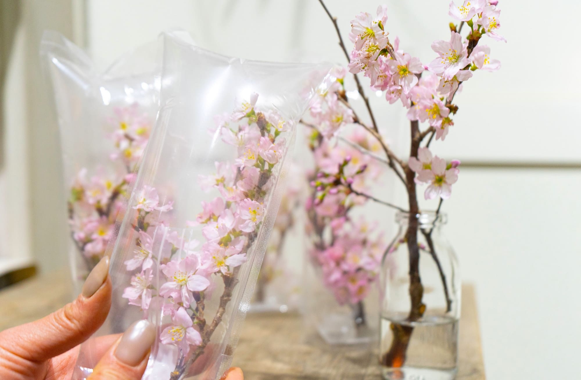届く花のイメージ 提供:株式会社ユー花園(https://www.youkaen.com)