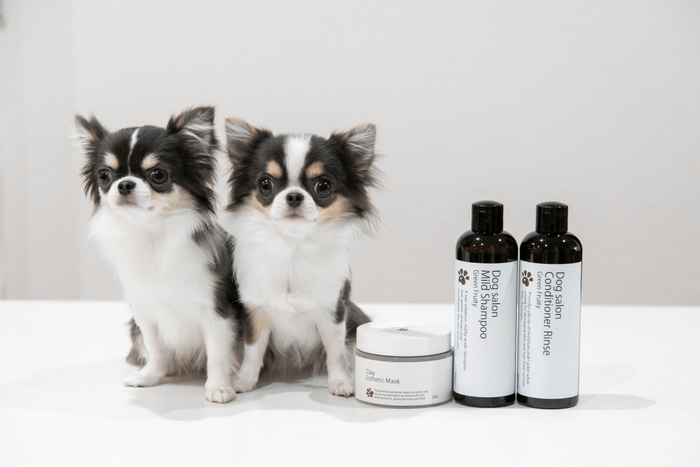 PAW PAWオリジナル商品