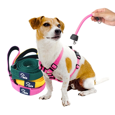 小型犬・中型犬向け「PeslaノンタングルH型ハーネス3点セット」 　Amazonにて9月限定特別価格キャンペーンを実施！