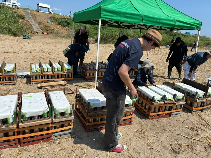 養生テープ止め作業中の新人スタッフ