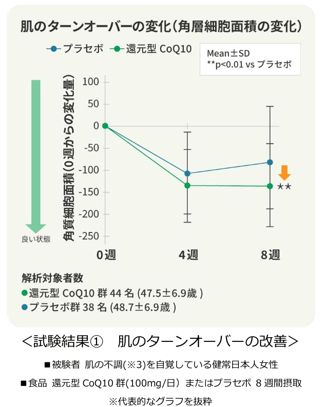 <試験結果(1) 肌のターンオーバーの改善>