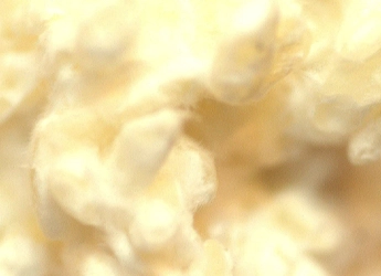 箱根の温泉宿「養生館はるのひかり」　 ぬる湯温泉×発芽玄米菜食×整体を組み合わせた 「自律神経の養生プラン」新たに2泊の新プランを提供開始