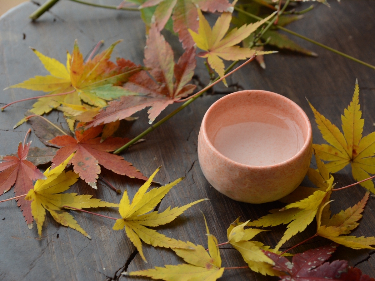 冷やおろし ※イメージ
