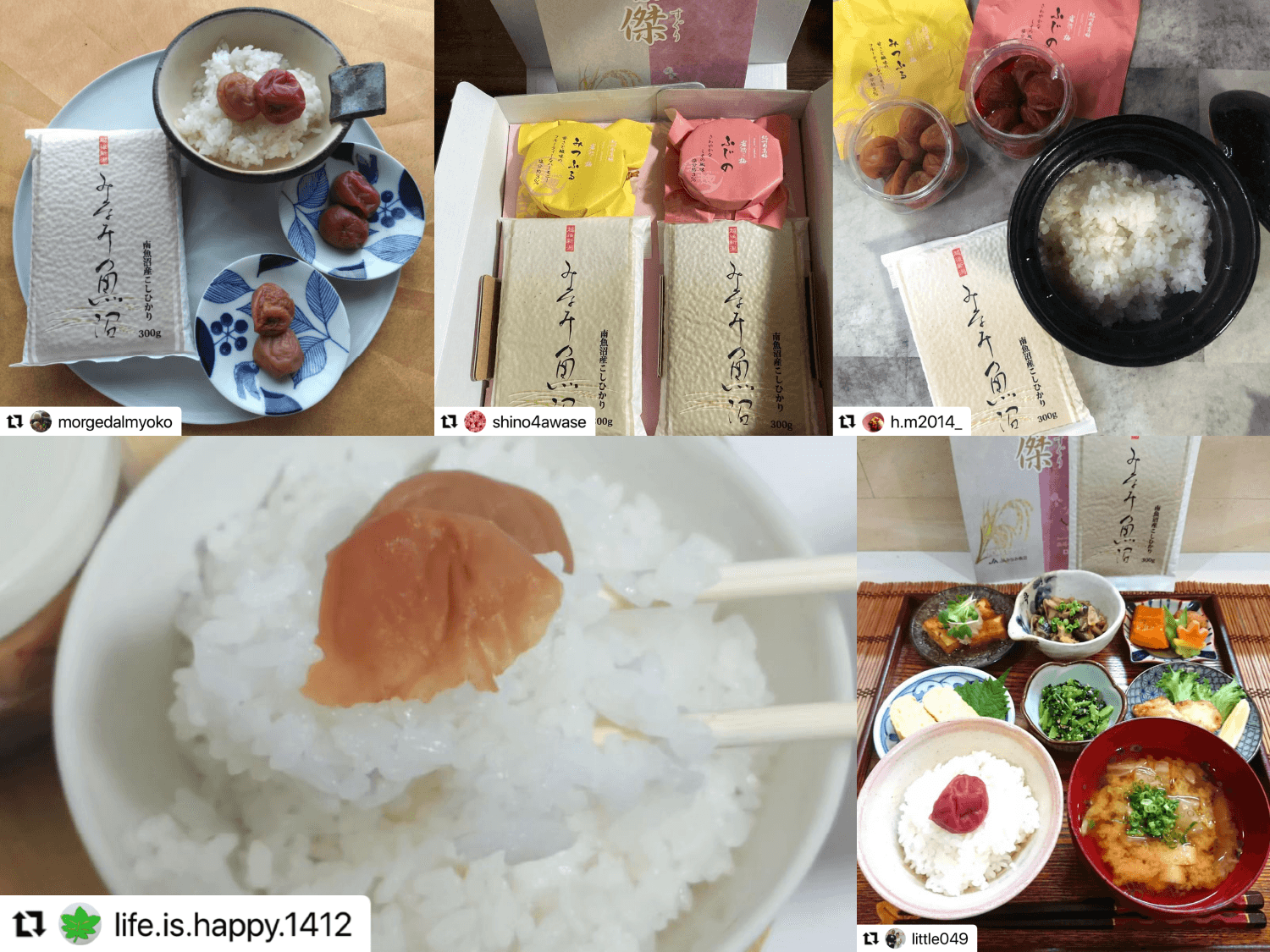 Instagram投稿画像