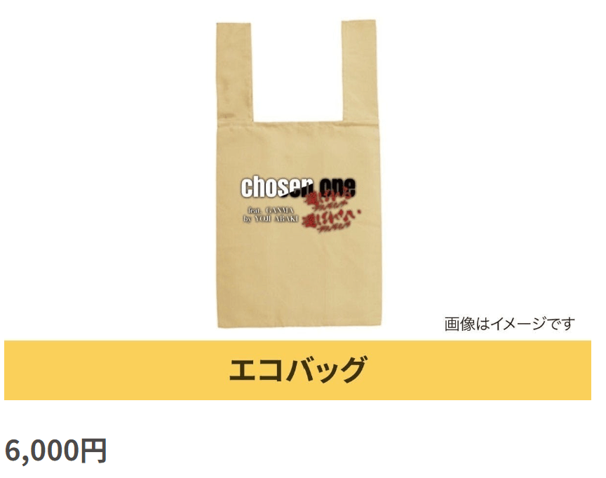 リターン:出版記念グッズ(エコバッグ)