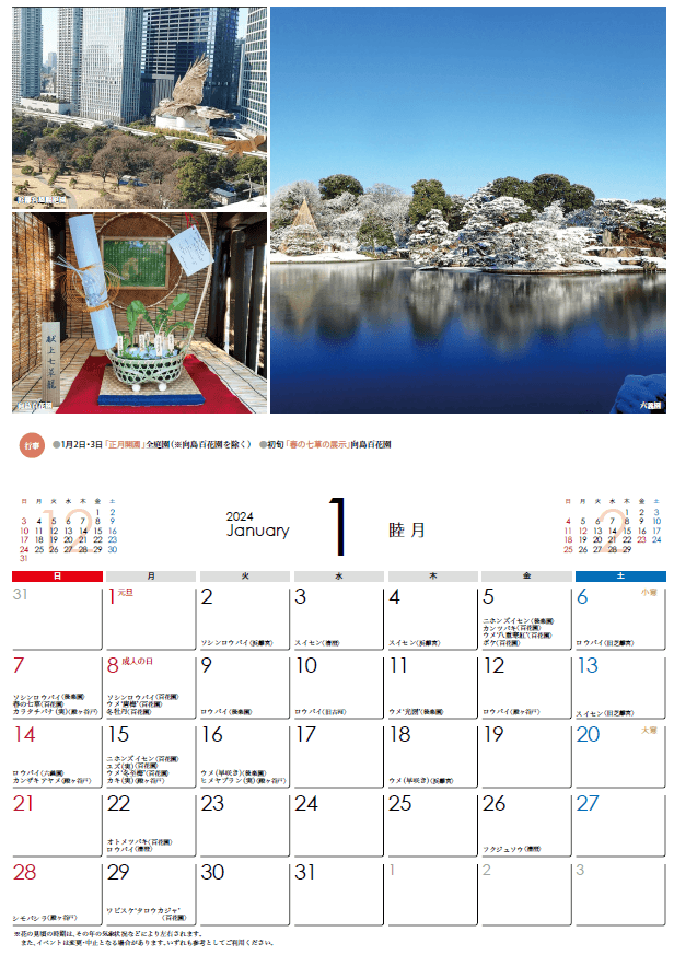 都立庭園カレンダー2024(1月)