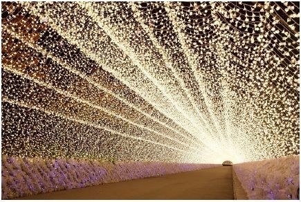 なばなの里 イルミネーション(イメージ)