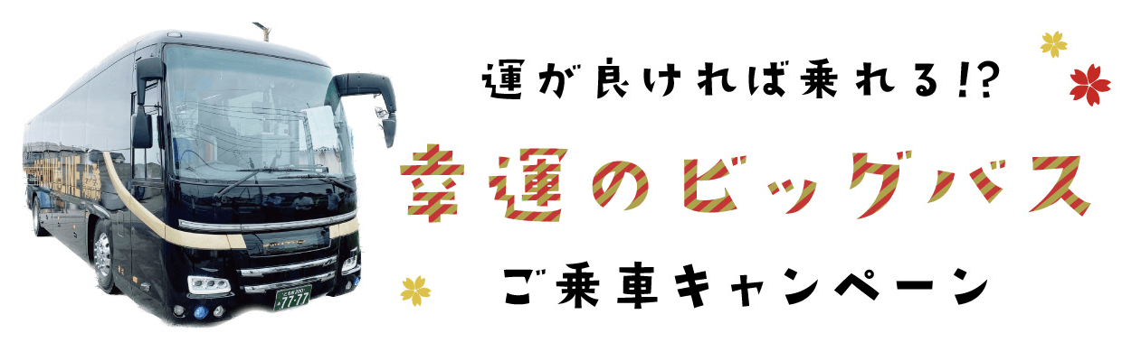 ビッグバスイメージ
