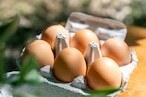 オリーブたまご(生臭さがないと評判)