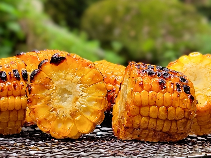 焼きとうもろこしの試食会 ※写真はイメージ