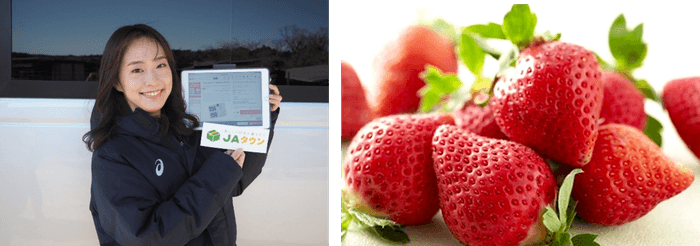 福岡県産JAふくおか八女 博多あまおう