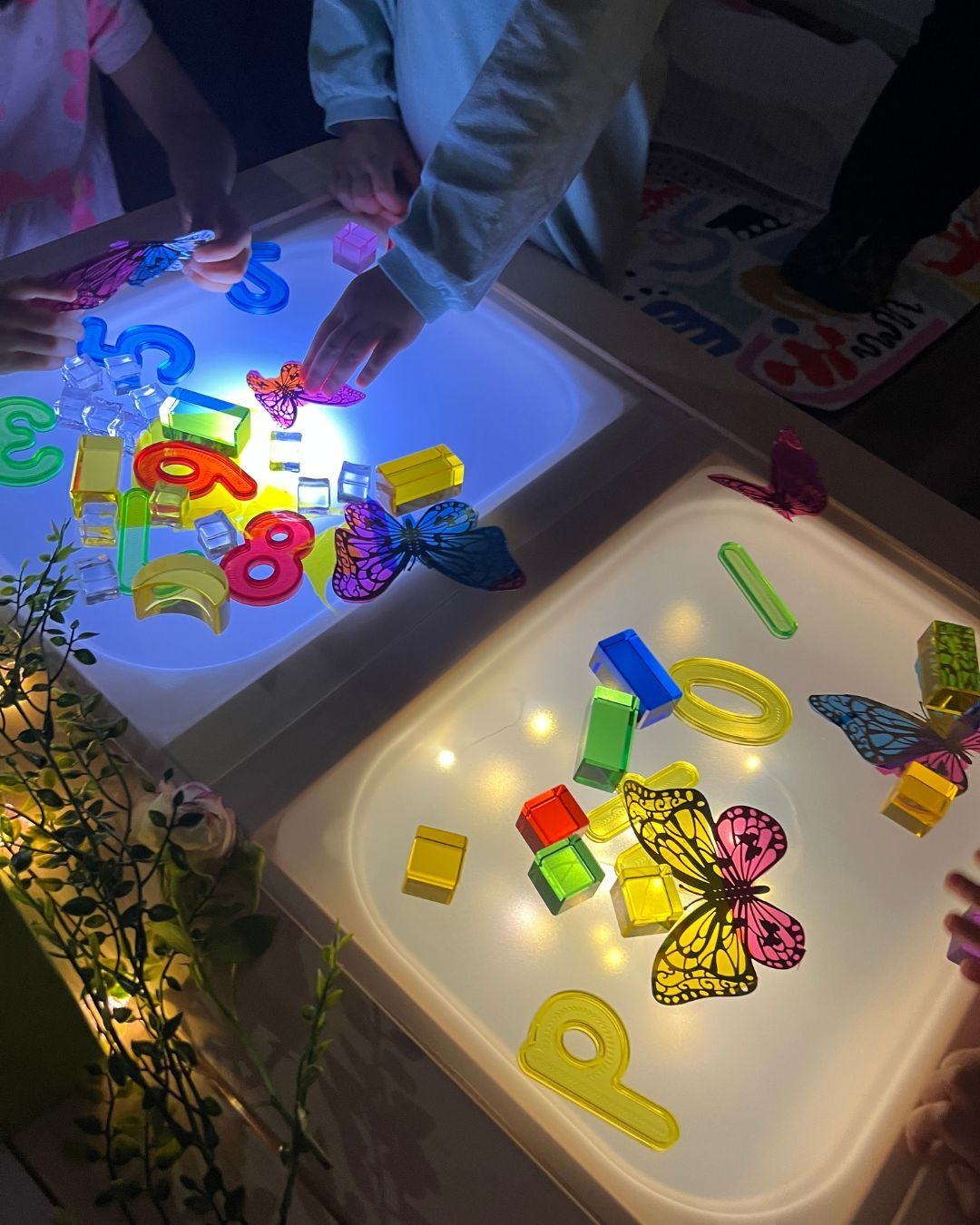 ベアトリーセンサリープレイ_光と蝶