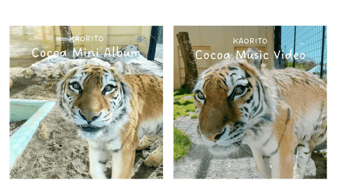 （左）ココアミニアルバム（全5曲収録）¥1,650 税込　（右）ココアミュージックビデオ（全3曲収録）¥1,980 税込