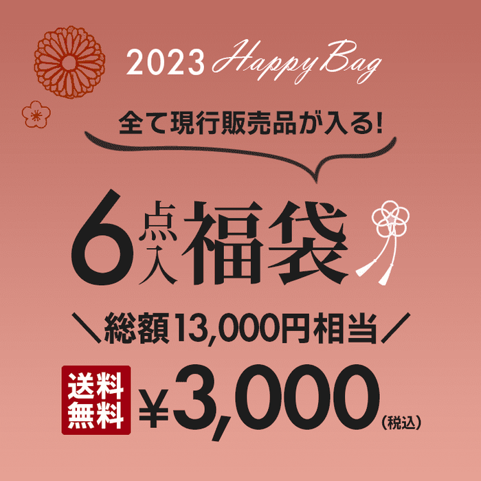 6点入り!2023年お年玉3,000円福袋