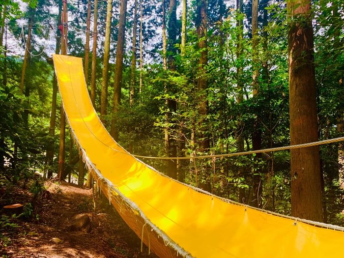 樹上12m~のシュートスライド