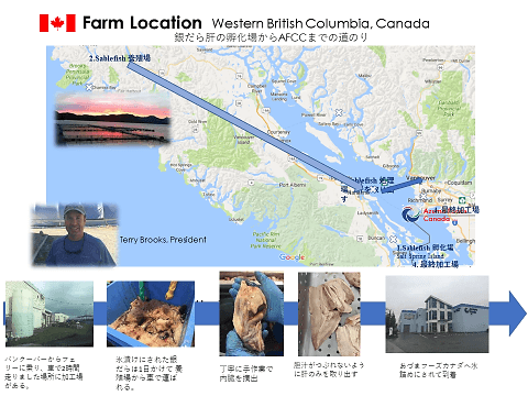 孵化場~加工場まで