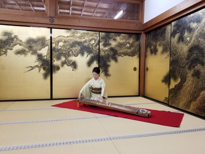 毎晩行われる邦楽の演奏（筝）