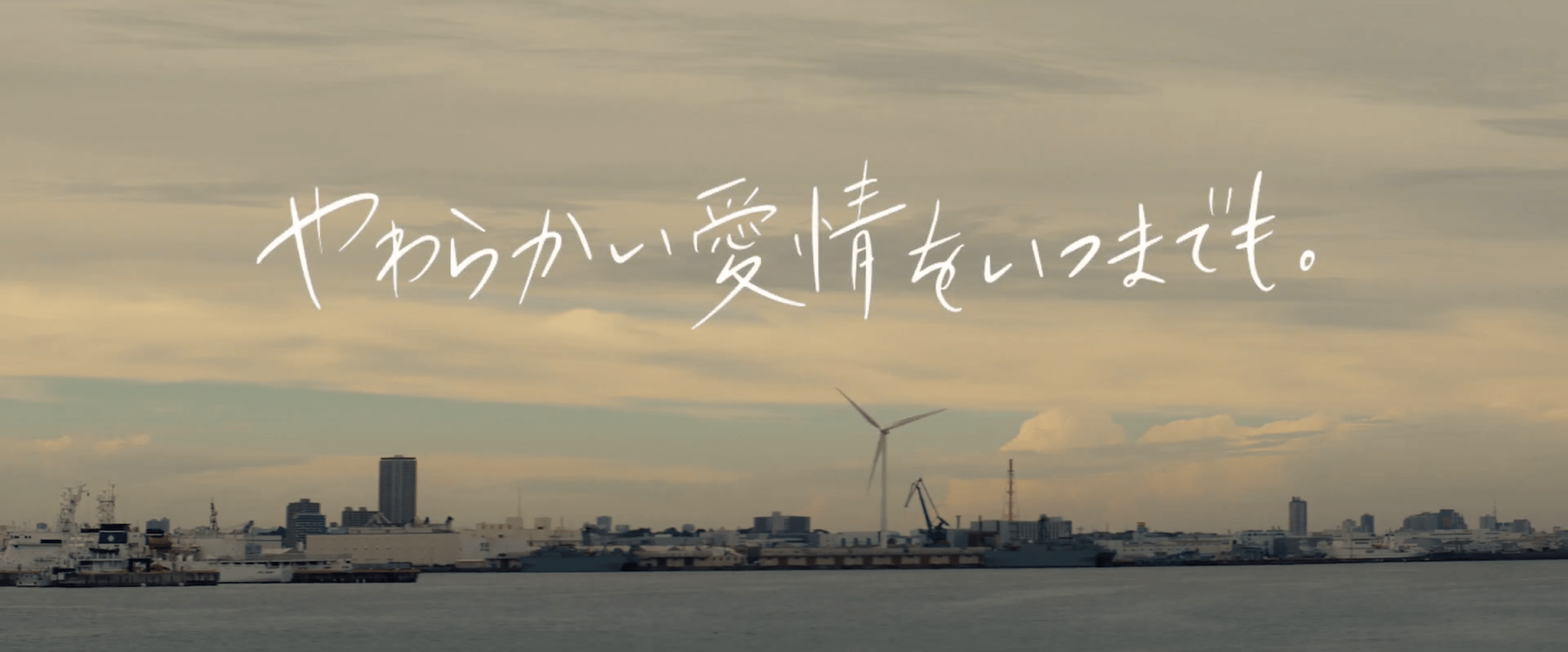 動画キャプチャ10