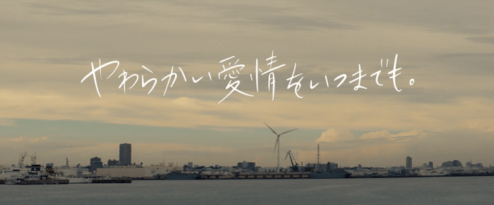 動画キャプチャ10